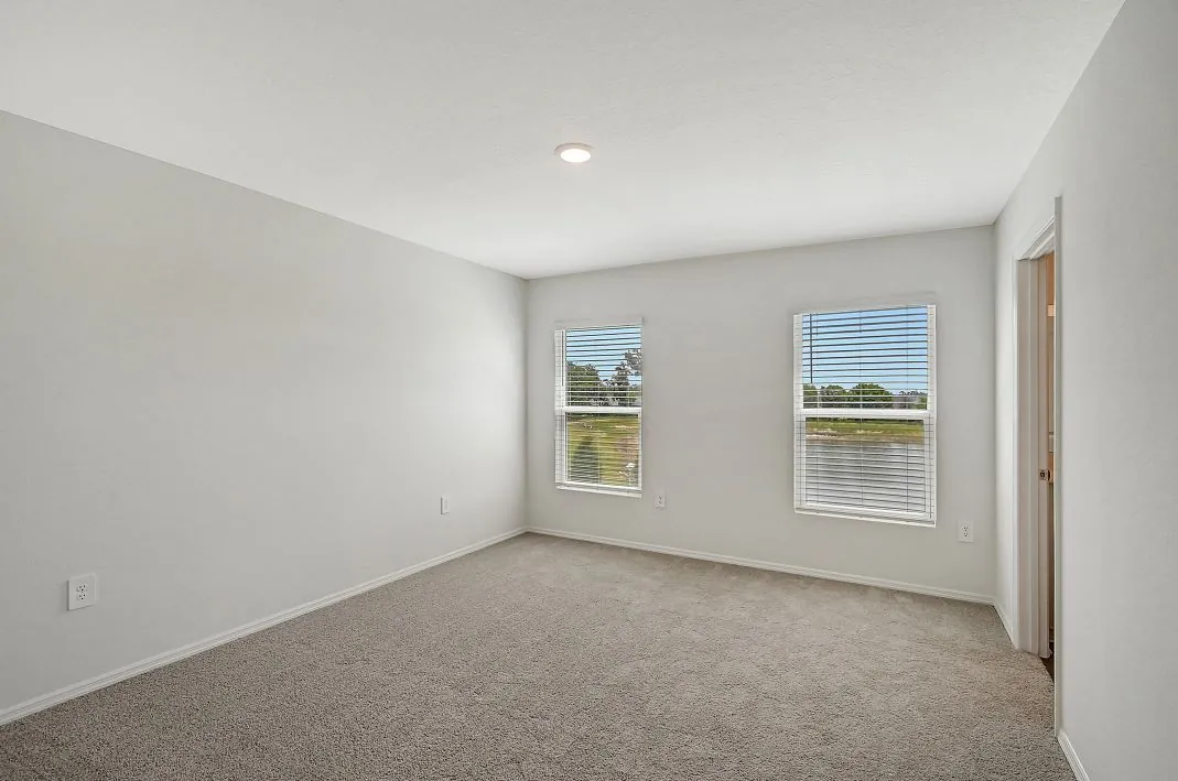 Plumeria — image 10