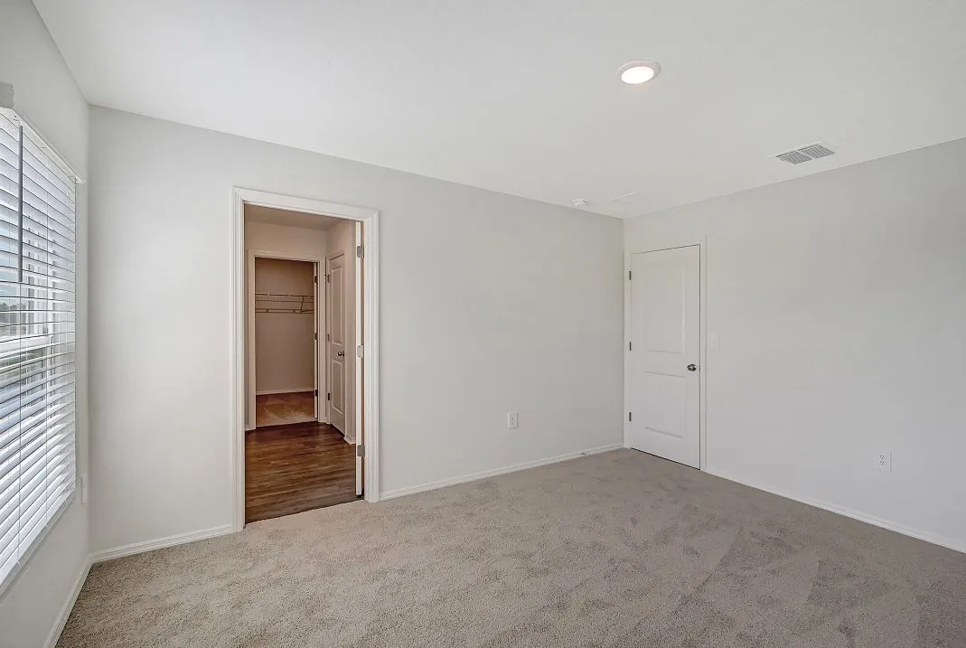 Plumeria — image 11