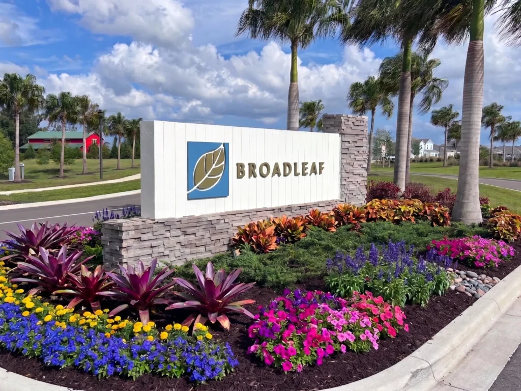 Broadleaf
