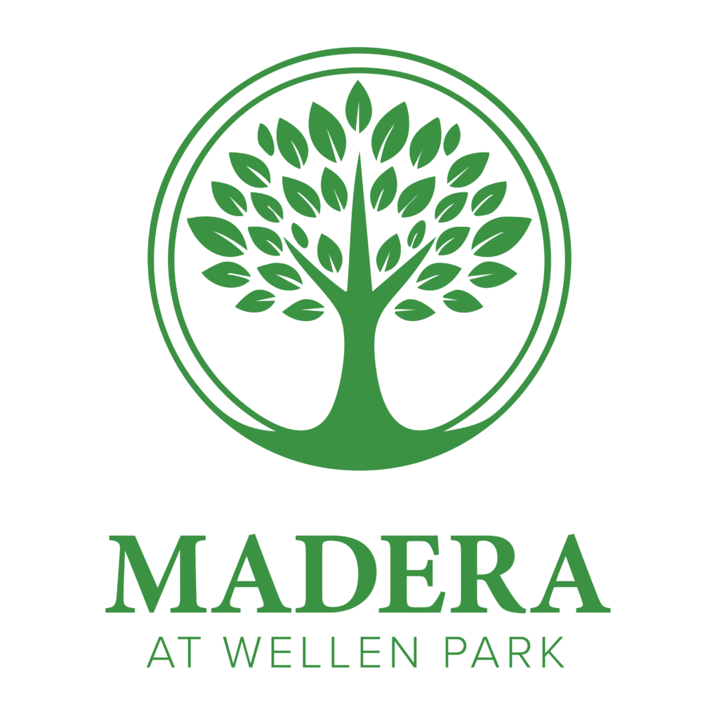 Madera at Wellen Park